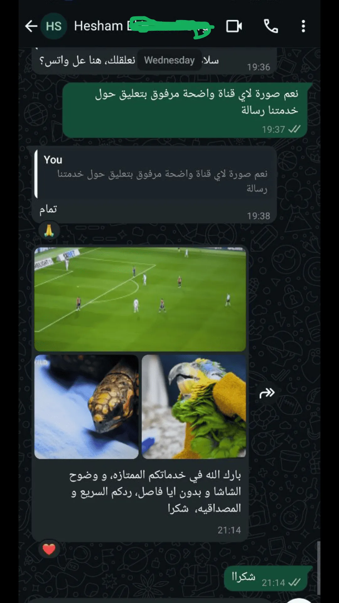 أفضل اشتراك IPTV عربي تقييم العملاء